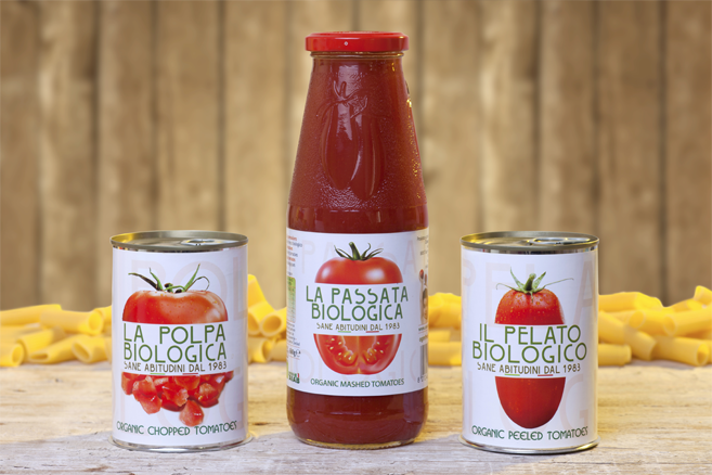 Organic Tomatoes